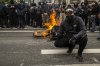 Avignon dans la Tourmente Sociale